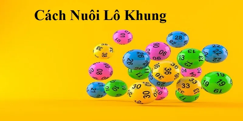 Các hình thức nuôi lô khung hay được áp dụng